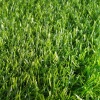 Газон искусственный в рулоне трава ворс 3 см ВЕСНА (h рул. 2 м) 1/25