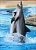 Фотообои Эмпапелада 2*2,8 м "Дельфины"